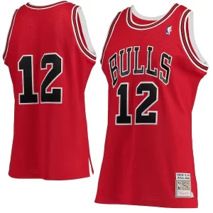 Michael Jordan Chicago Bulls 1989/90 Hardwood Classics Éclatant Authentic Jersey Red