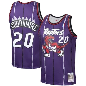 Damon Stoudamire Toronto Raptors Charming 1995/96 Hardwood Classics Swingman Jersey Purple