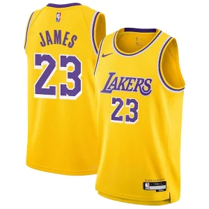 LeBron Exquisite James Los Angeles Lakers Nike Youth Swingman Jersey Icon Edition Gold